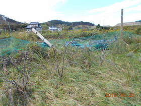 陸前高田ひろば20191020008.jpg