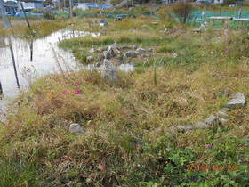陸前高田ひろば20191020033.jpg