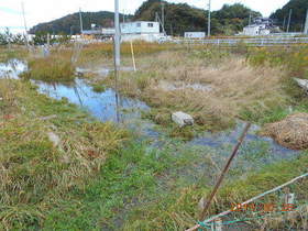 陸前高田ひろば20191026007.jpg