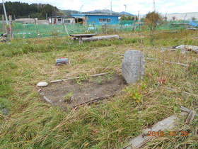陸前高田ひろば20191026011.jpg