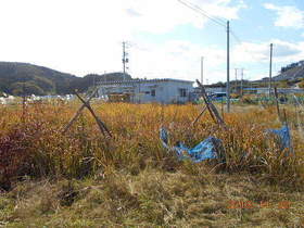 陸前高田ひろば20191102031.jpg