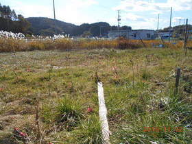 陸前高田ひろば20191102033.jpg