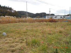 陸前高田ひろば20191109040.jpg