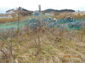 陸前高田ひろば20191123011.jpg
