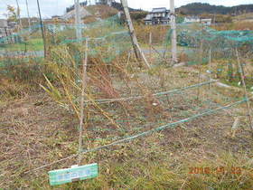 陸前高田ひろば20191123014.jpg