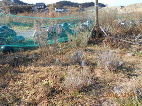 陸前高田ひろば20191214008.jpg