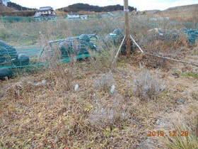 陸前高田ひろば20191228008.jpg