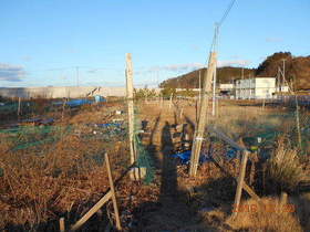陸前高田ひろば20191228045.jpg