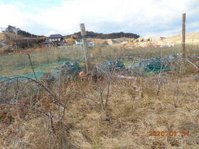 陸前高田ひろば20200104003.jpg
