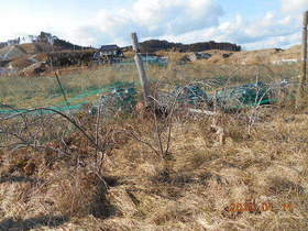 陸前高田ひろば20200111005.jpg