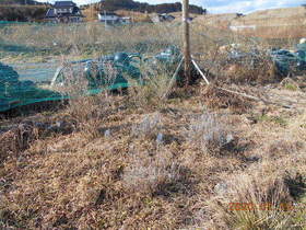 陸前高田ひろば20200111006.jpg