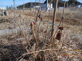 陸前高田ひろば20200111009.jpg