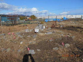 陸前高田ひろば20200111016.jpg