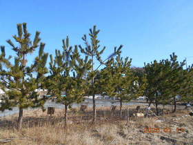 陸前高田ひろば20200111026.jpg