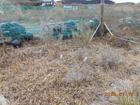 陸前高田ひろば20200118004.jpg