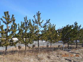 陸前高田ひろば20200125030.jpg