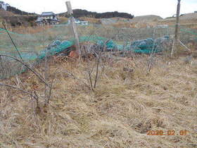 陸前高田ひろば20200201004.jpg