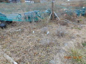 陸前高田ひろば20200201005.jpg