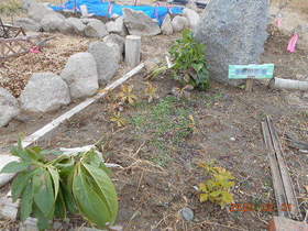 陸前高田ひろば20200201012.jpg