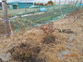陸前高田ひろば20200201019.jpg