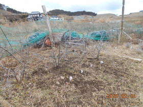 陸前高田ひろば20200201035.jpg