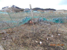 陸前高田ひろば20200208003.jpg