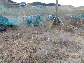 陸前高田ひろば20200208004.jpg