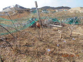 陸前高田ひろば20200215003.jpg