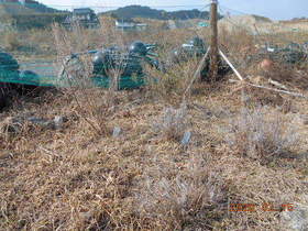 陸前高田ひろば20200215005.jpg