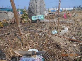 陸前高田ひろば20200215008.jpg