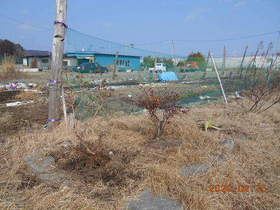 陸前高田ひろば20200215014.jpg