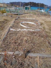 陸前高田ひろば20200215020.jpg