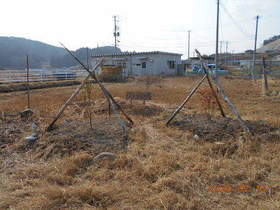 陸前高田ひろば20200215029.jpg