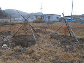 陸前高田ひろば20200215034.jpg