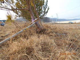 陸前高田ひろば20200215041.jpg