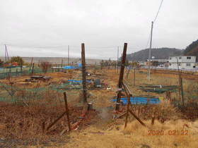 陸前高田ひろば20200222001.jpg