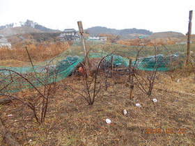 陸前高田ひろば20200222003.jpg