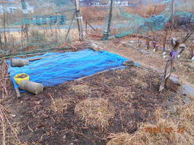 陸前高田ひろば20200222005.jpg