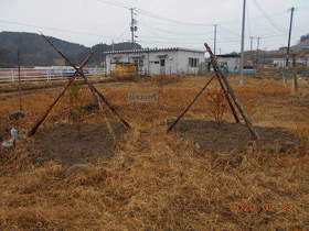 陸前高田ひろば20200222027.jpg