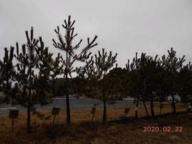 陸前高田ひろば20200222031.jpg