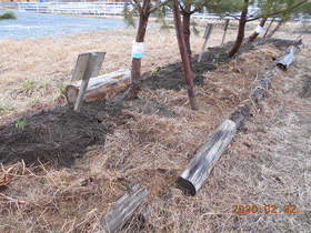 陸前高田ひろば20200222033.jpg