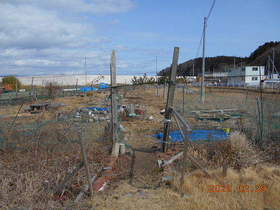 陸前高田ひろば20200229001.jpg