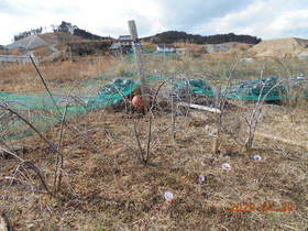陸前高田ひろば20200229003.jpg