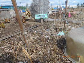 陸前高田ひろば20200229008.jpg