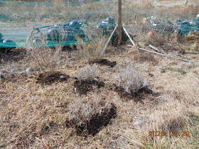 陸前高田ひろば20200229042.jpg