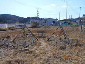 陸前高田ひろば20200307030.jpg