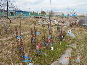 陸前高田ひろば20200314003.jpg