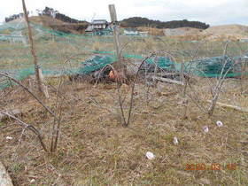陸前高田ひろば20200314004.jpg