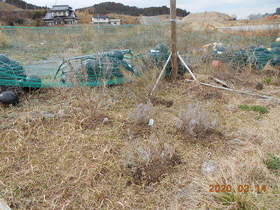 陸前高田ひろば20200314006.jpg