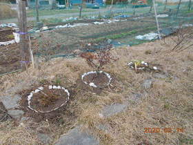 陸前高田ひろば20200314023.jpg